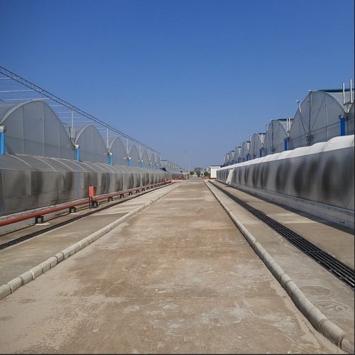 WhatsApp Image 2024-06-13 at 12.38.30 PM (8)